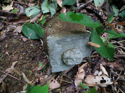 みんなで山歩き、里歩き♪_e0028387_22181276.jpg