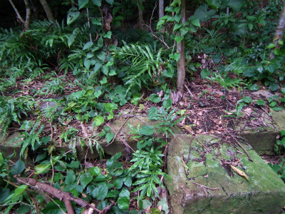 みんなで山歩き、里歩き♪_e0028387_2220405.jpg