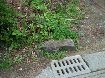 みんなで山歩き、里歩き♪_e0028387_2226378.jpg