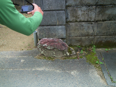 みんなで山歩き、里歩き♪_e0028387_222669.jpg