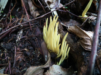 みんなで山歩き、里歩き♪_e0028387_22452728.jpg