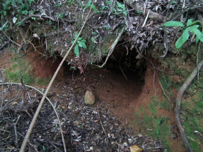 みんなで山歩き、里歩き♪_e0028387_22501185.jpg