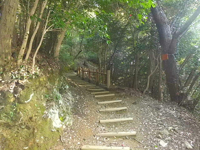 2月24日 金 大津山ハイキング 干しアミ 今日のご飯 楽しいこと大好き no 2 2月24日 金 大津山ハイキング 干しアミ 今日のご飯 楽しいこと大好き no 2