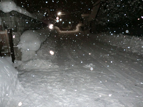 e0242504_503238.jpg