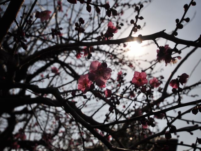 もう、2月も終わり_f0108604_8191235.jpg