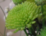 c0132205_2354938.jpg