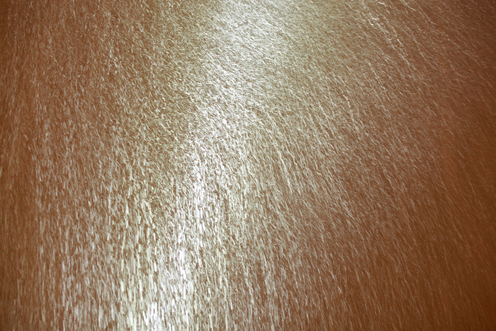 a0148606_04371.jpg
