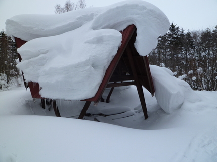 我が家から徒歩で萩の山へ！_a0248508_17403927.jpg