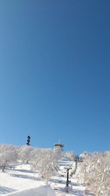 c0175712_8144675.jpg