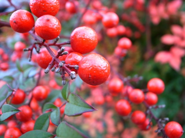 f0209122_10442100.jpg