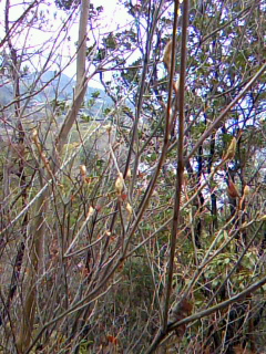 b0211925_10132851.jpg