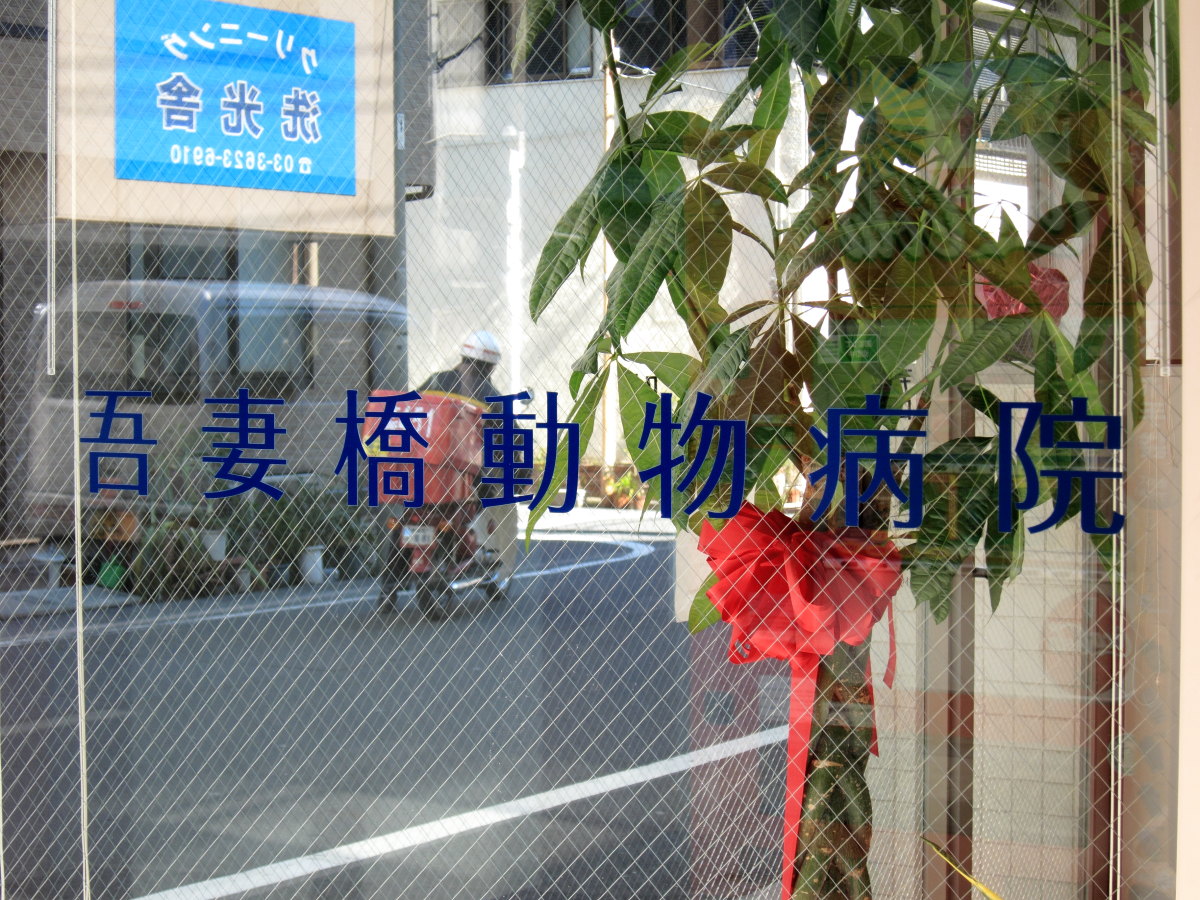 c0169436_0442691.jpg
