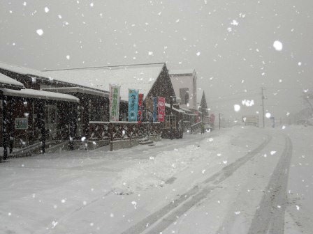 久しぶりの雪、真っ白な世界が広がっています_b0206037_11252485.jpg