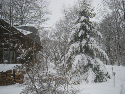 b0126549_18423517.jpg
