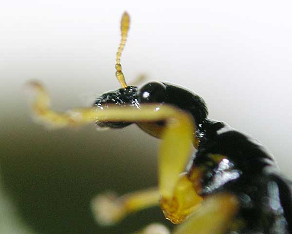 e0035757_1855873.jpg