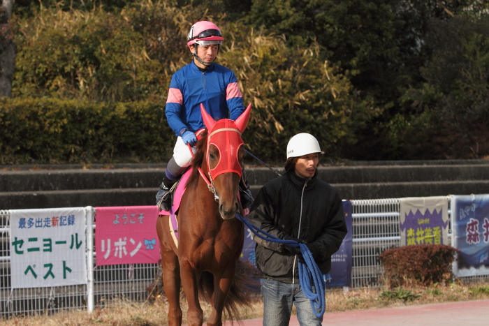 2012年2月18日(土) 高知競馬 2R C3-4_a0077663_13584512.jpg