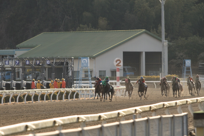 2012年2月18日（土） 高知競馬 2R C3-4_a0077663_13591711.jpg