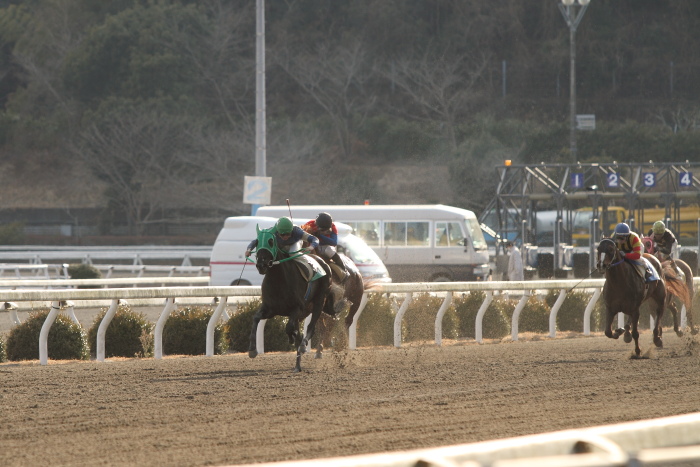 2012年2月18日（土） 高知競馬 2R C3-4_a0077663_13592697.jpg