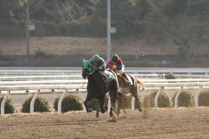 2012年2月18日（土） 高知競馬 2R C3-4_a0077663_13593646.jpg