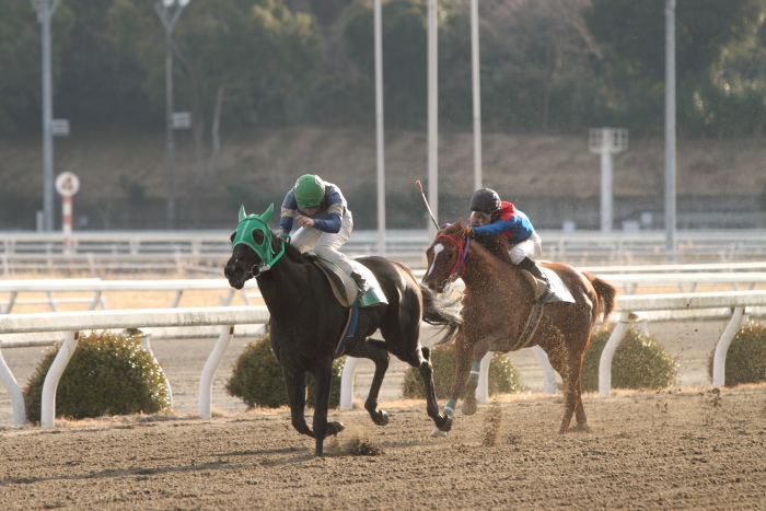 2012年2月18日(土) 高知競馬 2R C3-4_a0077663_13594248.jpg