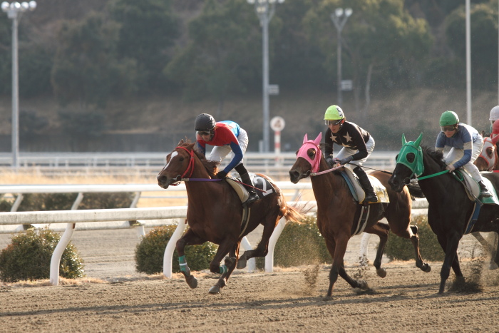 2012年2月18日（土） 高知競馬 2R C3-4_a0077663_1359472.jpg