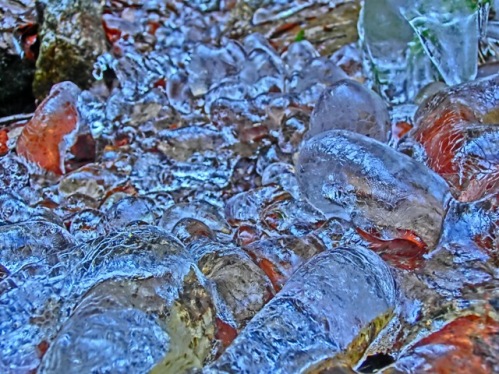 c0002874_1904260.jpg