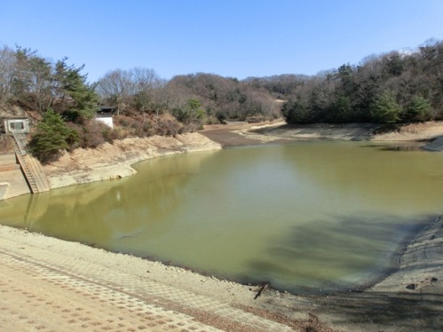 交野市生き物ふれあいの里 白旗池 つーさんのｎａｔｕｒｅｄｉａrｙ