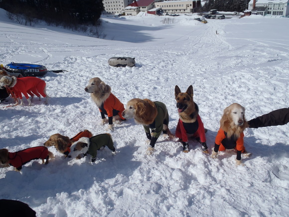 集合写真♪雪山編_b0233977_21134138.jpg