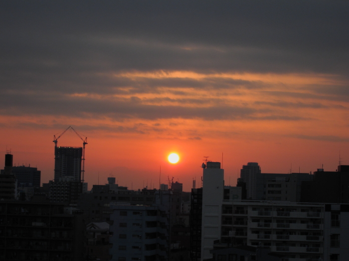 c0008378_915499.jpg