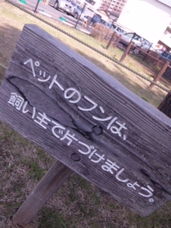 f0153479_03745.jpg