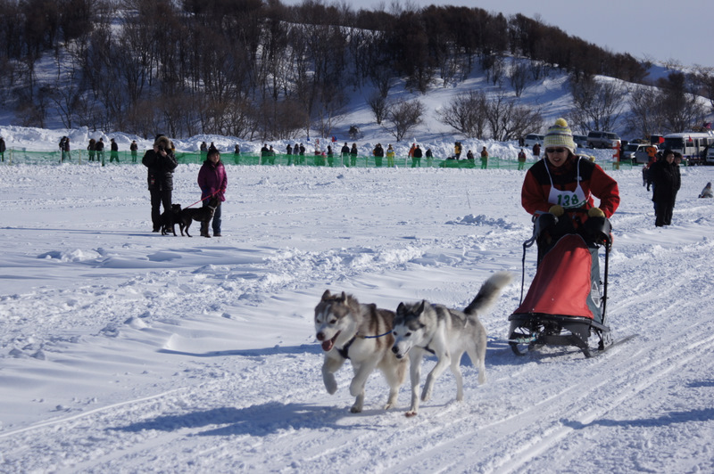 ＪＡＰＡＮ　ＣＵＰ　2012　第29回全国犬ぞり稚内大会_e0152186_2015863.jpg