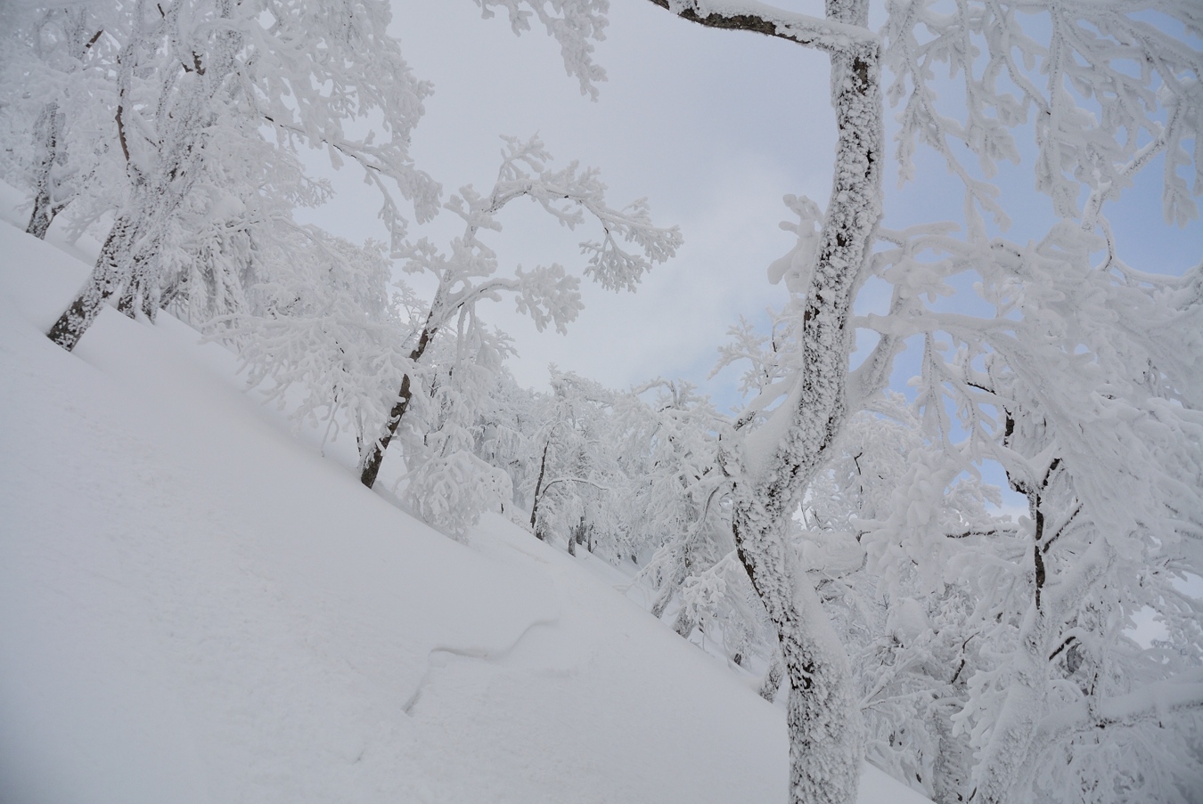 大山(弥山1709m)冬山5回目③_c0138991_0485870.jpg