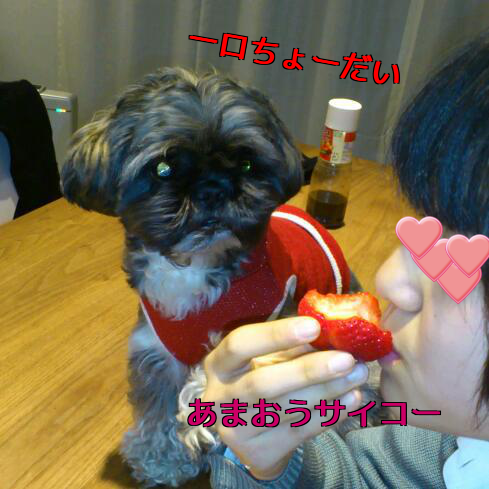 b0237894_2137540.png