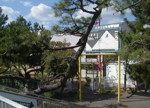 ●『津高和一 ねこがみた現代美術』_d0053294_116410.jpg