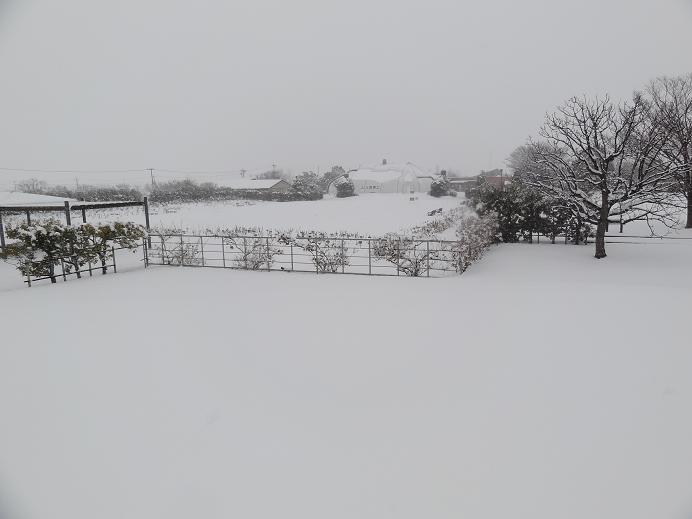 f0075595_2383073.jpg