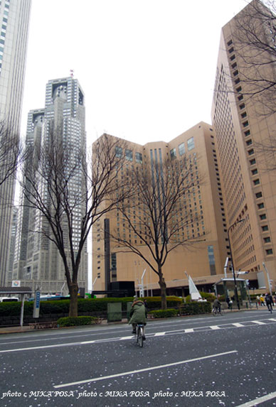東京マラソン 2012_b0164803_16105420.jpg