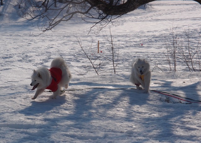 裏磐梯で雪遊び　[Ⅰ]　　２月２４日　[金]_e0018604_1371825.jpg