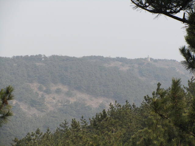 a0100706_23414564.jpg