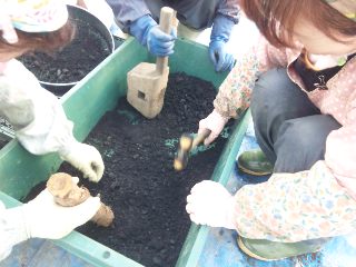 勝手知ったる他人の家?_d0099708_1112521.jpg