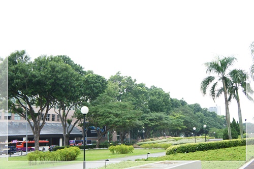 d0172308_173323.jpg