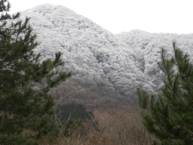 また、山は雪_e0179508_12585374.jpg