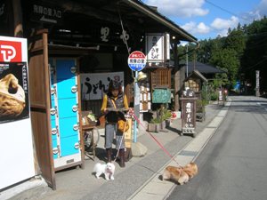 c0006211_11223194.jpg