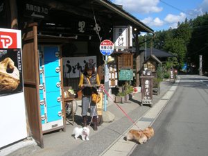 高山わんわんパラダイス_c0006211_11223194.jpg