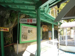 c0006211_1126292.jpg