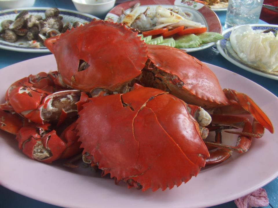 a0070715_18535362.jpg