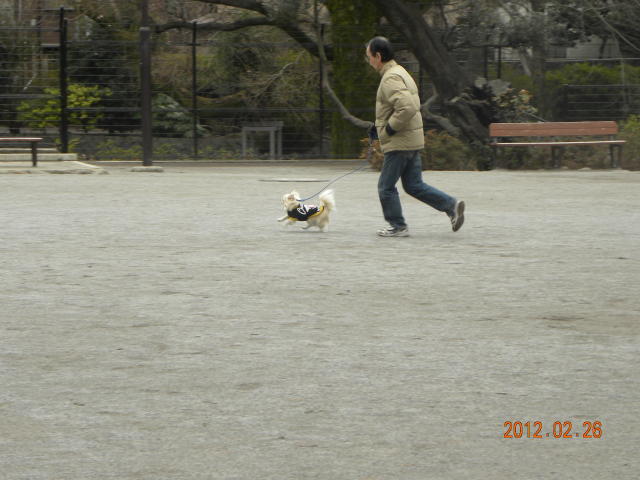 b0203018_18165990.jpg