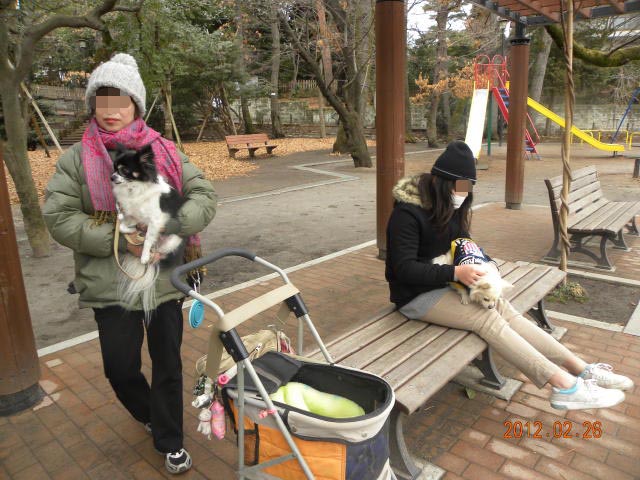 b0203018_18184077.jpg