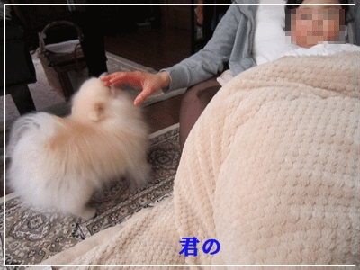 b0167519_15511949.gif