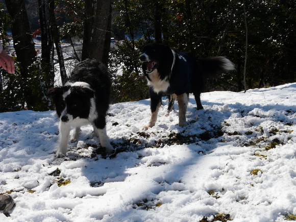 雪のオフ会_c0229523_17373654.jpg