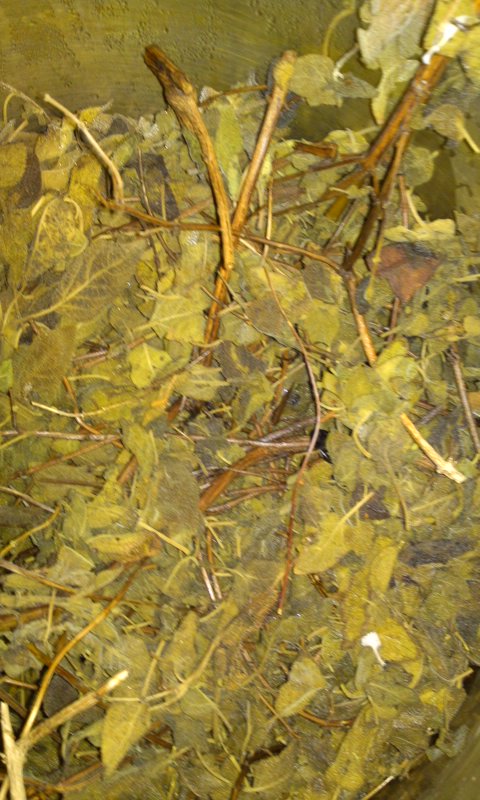 c0164227_23203637.jpg